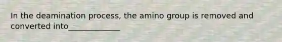 In the deamination process, the amino group is removed and converted into_____________