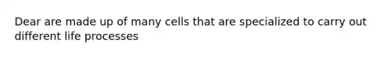 Dear are made up of many cells that are specialized to carry out different life processes