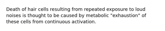 Death of hair cells resulting from repeated exposure to loud noises is thought to be caused by metabolic "exhaustion" of these cells from continuous activation.