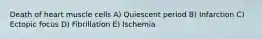 Death of heart muscle cells A) Quiescent period B) Infarction C) Ectopic focus D) Fibrillation E) Ischemia