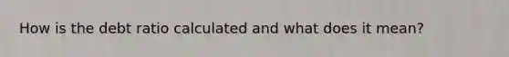 How is the debt ratio calculated and what does it mean?