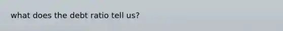 what does the debt ratio tell us?