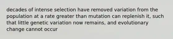 decades of intense selection have removed variation from the population at a rate greater than mutation can replenish it, such that little genetic variation now remains, and evolutionary change cannot occur