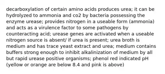 decarboxylation of certain amino acids produces urea; it can be hydrolyzed to ammonia and co2 by bacteria possessing the enzyme urease; provides nitrogen in a useable form (ammonia) and acts as a virulence factor to some pathogens by counteracting acid; urease genes are activated when a useable nitrogen source is absent/ if urea is present; urea broth is medium and has trace yeast extract and urea; medium contains buffers strong enough to inhibit alkalinization of medium by all but rapid urease positive organisms; phenol red indicated pH (yellow or orange are below 8.4 and pink is above)