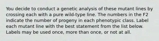 You decide to conduct a genetic analysis of these mutant lines by crossing each with a pure wild-type line. The numbers in the F2 indicate the number of progeny in each phenotypic class. Label each mutant line with the best statement from the list below. Labels may be used once, more than once, or not at all.