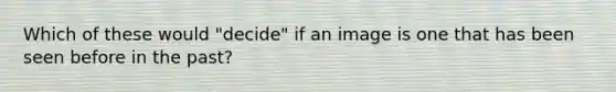 Which of these would "decide" if an image is one that has been seen before in the past?