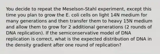 You decide to repeat the Meselson-Stahl experiment, except this time you plan to grow the E. coli cells on light 14N medium for many generations and then transfer them to heavy 15N medium and allow them to grow for 2 additional generations (2 rounds of DNA replication). If the semiconservative model of DNA replication is correct, what is the expected distribution of DNA in the density gradient after one round of replication?