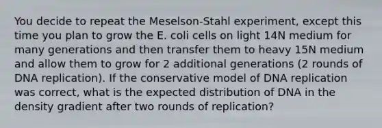 You decide to repeat the Meselson-Stahl experiment, except this time you plan to grow the E. coli cells on light 14N medium for many generations and then transfer them to heavy 15N medium and allow them to grow for 2 additional generations (2 rounds of <a href='https://www.questionai.com/knowledge/kofV2VQU2J-dna-replication' class='anchor-knowledge'>dna replication</a>). If the conservative model of DNA replication was correct, what is the expected distribution of DNA in the density gradient after two rounds of replication?