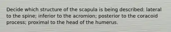 Decide which structure of the scapula is being described: lateral to the spine; inferior to the acromion; posterior to the coracoid process; proximal to the head of the humerus.