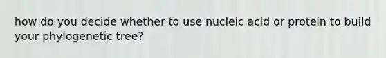 how do you decide whether to use nucleic acid or protein to build your phylogenetic tree?