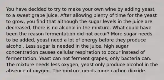 You have decided to try to make your own wine by adding yeast to a sweet grape juice. After allowing plenty of time for the yeast to grow, you find that although the sugar levels in the juice are decreased, there is no alcohol in the mixture. What could have been the reason fermentation did not occur? More sugar needs to be added, yeast need a lot of energy before they produce alcohol. Less sugar is needed in the juice, high sugar concentration causes cellular respiration to occur instead of fermentation. Yeast can not ferment grapes, only bacteria can. The mixture needs less oxygen, yeast only produce alcohol in the absence of oxygen. The mixture needs more carbon dioxide.