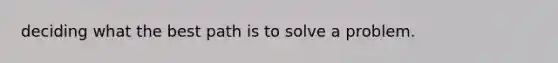 deciding what the best path is to solve a problem.