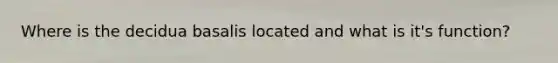 Where is the decidua basalis located and what is it's function?