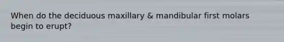 When do the deciduous maxillary & mandibular first molars begin to erupt?