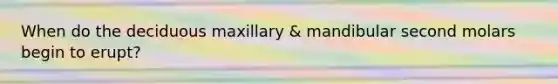 When do the deciduous maxillary & mandibular second molars begin to erupt?