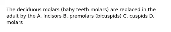 The deciduous molars (baby teeth molars) are replaced in the adult by the A. incisors B. premolars (bicuspids) C. cuspids D. molars