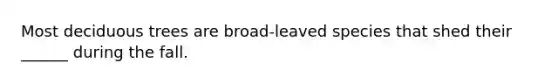 Most deciduous trees are broad-leaved species that shed their ______ during the fall.