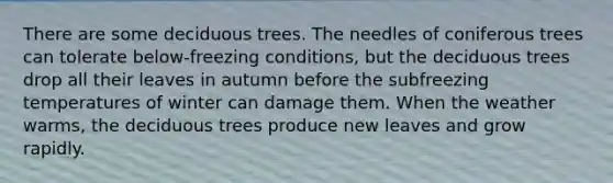 There are some deciduous trees. The needles of coniferous trees can tolerate below-freezing conditions, but the deciduous trees drop all their leaves in autumn before the subfreezing temperatures of winter can damage them. When the weather warms, the deciduous trees produce new leaves and grow rapidly.