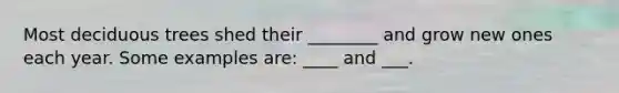 Most deciduous trees shed their ________ and grow new ones each year. Some examples are: ____ and ___.