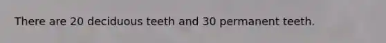 There are 20 deciduous teeth and 30 permanent teeth.