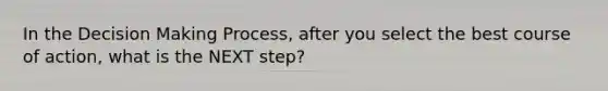 In the Decision Making Process, after you select the best course of action, what is the NEXT step?