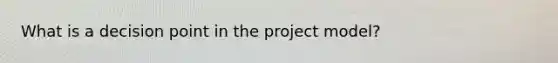 What is a decision point in the project model?