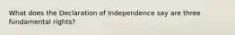 What does the Declaration of Independence say are three fundamental rights?