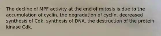 The decline of MPF activity at the end of mitosis is due to the accumulation of cyclin. the degradation of cyclin. decreased synthesis of Cdk. synthesis of DNA. the destruction of the protein kinase Cdk.