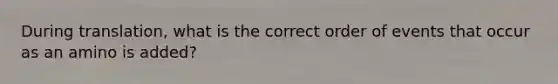 During translation, what is the correct order of events that occur as an amino is added?