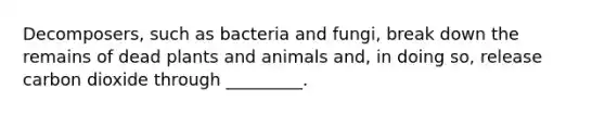 Decomposers, such as bacteria and fungi, break down the remains of dead plants and animals and, in doing so, release carbon dioxide through _________.