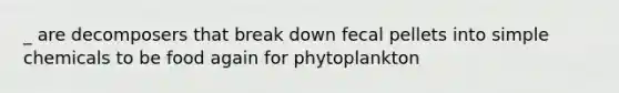 _ are decomposers that break down fecal pellets into simple chemicals to be food again for phytoplankton