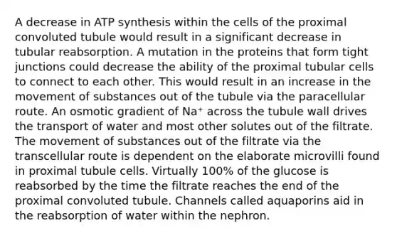 A decrease in ATP synthesis within the cells of the proximal convoluted tubule would result in a significant decrease in tubular reabsorption. A mutation in the proteins that form tight junctions could decrease the ability of the proximal tubular cells to connect to each other. This would result in an increase in the movement of substances out of the tubule via the paracellular route. An osmotic gradient of Na⁺ across the tubule wall drives the transport of water and most other solutes out of the filtrate. The movement of substances out of the filtrate via the transcellular route is dependent on the elaborate microvilli found in proximal tubule cells. Virtually 100% of the glucose is reabsorbed by the time the filtrate reaches the end of the proximal convoluted tubule. Channels called aquaporins aid in the reabsorption of water within the nephron.