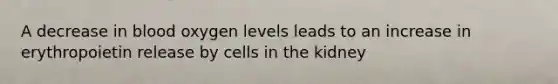 A decrease in blood oxygen levels leads to an increase in erythropoietin release by cells in the kidney