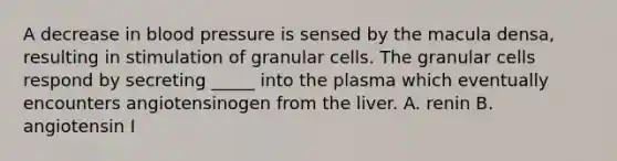 A decrease in <a href='https://www.questionai.com/knowledge/kD0HacyPBr-blood-pressure' class='anchor-knowledge'>blood pressure</a> is sensed by the macula densa, resulting in stimulation of granular cells. The granular cells respond by secreting _____ into the plasma which eventually encounters angiotensinogen from the liver. A. renin B. angiotensin I