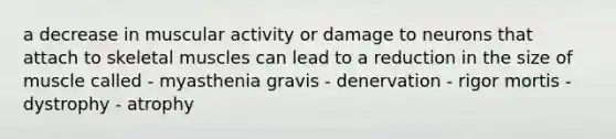 a decrease in muscular activity or damage to neurons that attach to skeletal muscles can lead to a reduction in the size of muscle called - myasthenia gravis - denervation - rigor mortis - dystrophy - atrophy