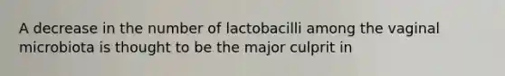 A decrease in the number of lactobacilli among the vaginal microbiota is thought to be the major culprit in