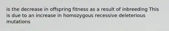 is the decrease in offspring fitness as a result of inbreeding This is due to an increase in homozygous recessive deleterious mutations