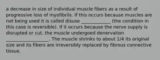 a decrease in size of individual muscle fibers as a result of progressive loss of myofibrils. If this occurs because muscles are not being used it is called disuse _____________ (the condition in this case is reversible). If it occurs because the nerve supply is disrupted or cut, the muscle undergoed denervation ___________________. The muscle shrinks to about 1/4 its original size and its fibers are irreversibly replaced by fibrous connective tissue.