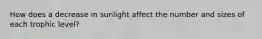 How does a decrease in sunlight affect the number and sizes of each trophic level?