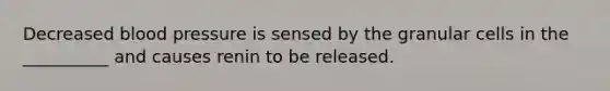 Decreased <a href='https://www.questionai.com/knowledge/kD0HacyPBr-blood-pressure' class='anchor-knowledge'>blood pressure</a> is sensed by the granular cells in the __________ and causes renin to be released.