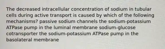 The decreased intracellular concentration of sodium in tubular cells during active transport is caused by which of the following mechanisms? passive sodium channels the sodium-potassium ATPase pump in the luminal membrane sodium-glucose cotransporter the sodium-potassium ATPase pump in the basolateral membrane