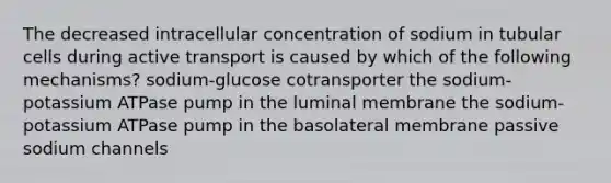 The decreased intracellular concentration of sodium in tubular cells during active transport is caused by which of the following mechanisms? sodium-glucose cotransporter the sodium-potassium ATPase pump in the luminal membrane the sodium-potassium ATPase pump in the basolateral membrane passive sodium channels