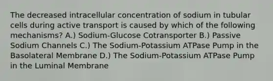 The decreased intracellular concentration of sodium in tubular cells during active transport is caused by which of the following mechanisms? A.) Sodium-Glucose Cotransporter B.) Passive Sodium Channels C.) The Sodium-Potassium ATPase Pump in the Basolateral Membrane D.) The Sodium-Potassium ATPase Pump in the Luminal Membrane