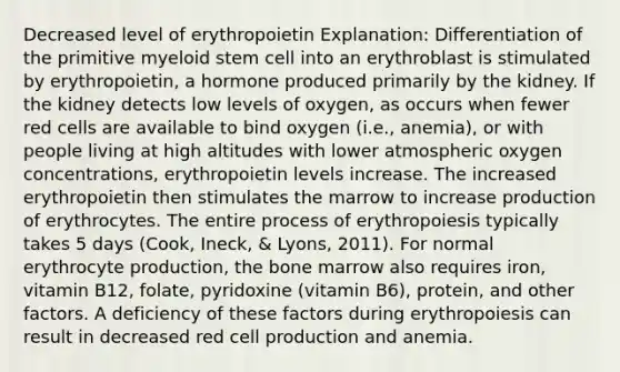 Decreased level of erythropoietin Explanation: Differentiation of the primitive myeloid stem cell into an erythroblast is stimulated by erythropoietin, a hormone produced primarily by the kidney. If the kidney detects low levels of oxygen, as occurs when fewer red cells are available to bind oxygen (i.e., anemia), or with people living at high altitudes with lower atmospheric oxygen concentrations, erythropoietin levels increase. The increased erythropoietin then stimulates the marrow to increase production of erythrocytes. The entire process of erythropoiesis typically takes 5 days (Cook, Ineck, & Lyons, 2011). For normal erythrocyte production, the bone marrow also requires iron, vitamin B12, folate, pyridoxine (vitamin B6), protein, and other factors. A deficiency of these factors during erythropoiesis can result in decreased red cell production and anemia.