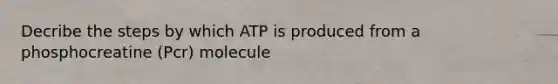 Decribe the steps by which ATP is produced from a phosphocreatine (Pcr) molecule