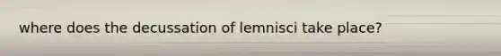 where does the decussation of lemnisci take place?