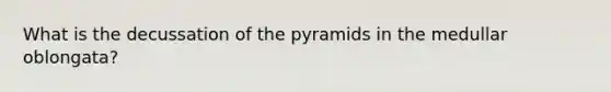 What is the decussation of the pyramids in the medullar oblongata?