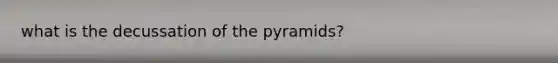 what is the decussation of the pyramids?