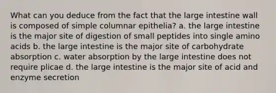 What can you deduce from the fact that the <a href='https://www.questionai.com/knowledge/kGQjby07OK-large-intestine' class='anchor-knowledge'>large intestine</a> wall is composed of simple columnar epithelia? a. the large intestine is the major site of digestion of small peptides into single <a href='https://www.questionai.com/knowledge/k9gb720LCl-amino-acids' class='anchor-knowledge'>amino acids</a> b. the large intestine is the major site of carbohydrate absorption c. water absorption by the large intestine does not require plicae d. the large intestine is the major site of acid and enzyme secretion