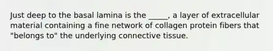 Just deep to the basal lamina is the _____, a layer of extracellular material containing a fine network of collagen protein fibers that "belongs to" the underlying connective tissue.